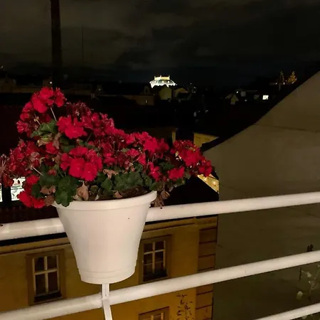 Anenská By Charles Bridge *