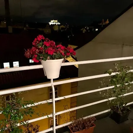 Anenska By Charles Bridge 1 דירה פראג