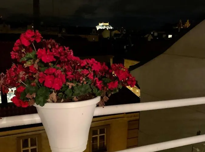 Anenska By Charles Bridge 1 *